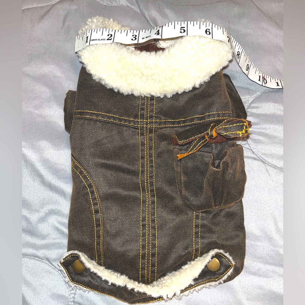 Leather dog outfit - Picture 1 of 5